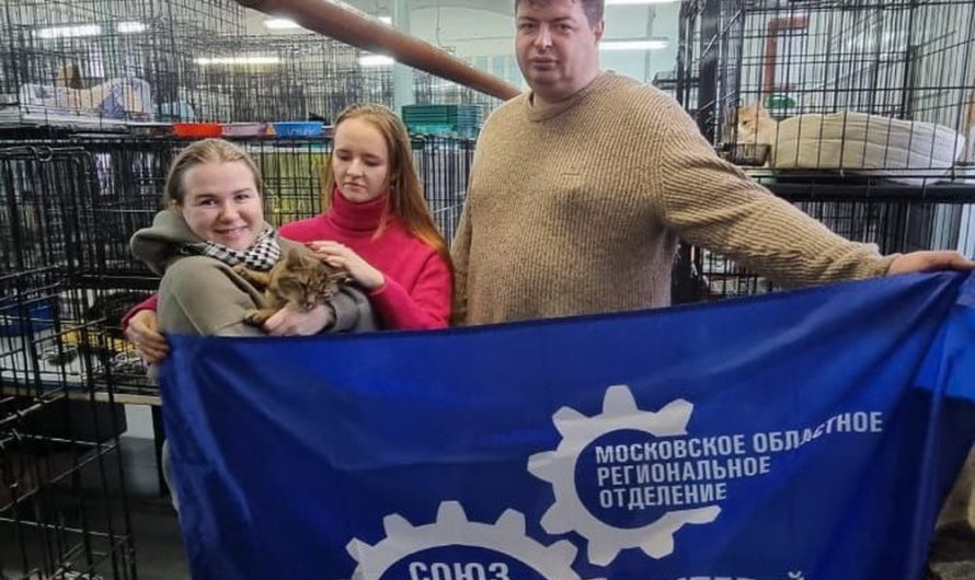 ПОДДЕРЖАЛИ БАЛАШИХИНСКИЙ ПРИЮТ ДЛЯ КОШЕК