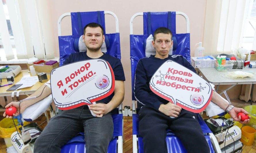 БЕСЦЕННАЯ ПОМОЩЬ