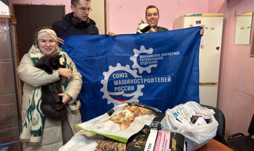 ПОМОЩЬ ДЛЯ ПУШИСТЫХ ДРУЗЕЙ