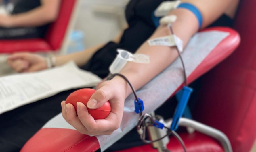 ПРОЯВИЛИ СВОИ ЛУЧШИЕ КАЧЕСТВА